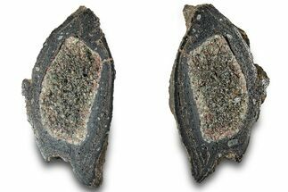 Sliced Olivine Crystal Filled Volcanic Bomb - Spain #315168