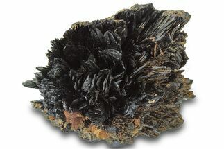 Radiating Dark-Green Vivianite Crystals - Ukraine #315587