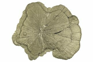 Pyrite Sun - Sparta, Illinois #315950