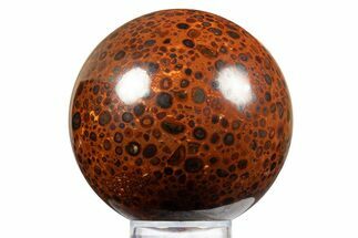 Polished Bauxite (Aluminum Ore) Sphere - Russia #316277