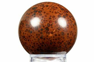 Polished Bauxite (Aluminum Ore) Sphere - Russia #316282
