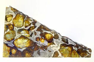 Pallasites For Sale