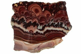 Polished Slab Of Rolling Hills Dolomite - Chihuahua, Mexico #316680