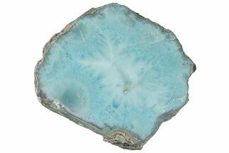 Slice Of Larimar Replaced Wood Limb Cast #316972