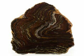 Polished Tiger Iron Stromatolite Slab - Billion Years #317244