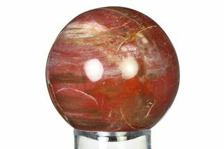 Colorful Petrified Wood (Araucaria) Sphere - Madagascar #317282