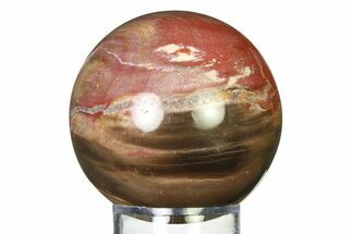 Colorful Petrified Wood (Araucaria) Sphere - Madagascar #317292