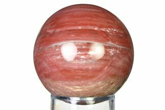 Colorful Petrified Wood (Araucaria) Sphere - Madagascar #317296