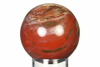 Colorful Petrified Wood (Araucaria) Sphere - Madagascar #317299