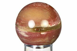 Colorful Petrified Wood (Araucaria) Sphere - Madagascar #317305