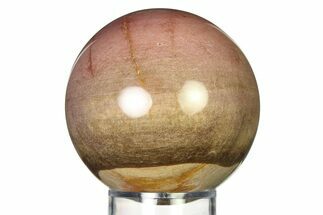 Colorful Petrified Wood (Araucaria) Sphere - Madagascar #317306