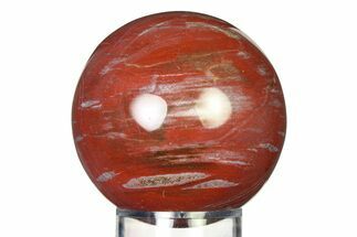 Colorful Petrified Wood (Araucaria) Sphere - Madagascar #317309