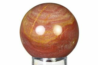 Colorful Petrified Wood (Araucaria) Sphere - Madagascar #317311