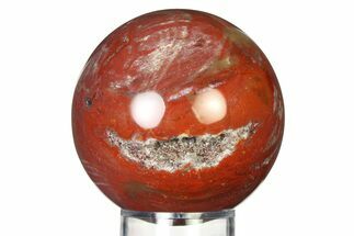 Colorful Petrified Wood (Araucaria) Sphere - Madagascar #317313