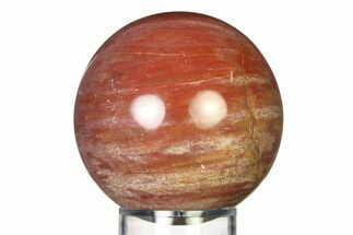 Colorful Petrified Wood (Araucaria) Sphere - Madagascar #317315