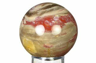 Colorful Petrified Wood (Araucaria) Sphere - Madagascar #317317