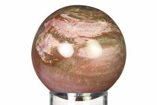 Colorful Petrified Wood (Araucaria) Sphere - Madagascar #317319