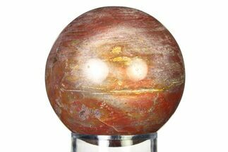 Colorful Petrified Wood (Araucaria) Sphere - Madagascar #317321