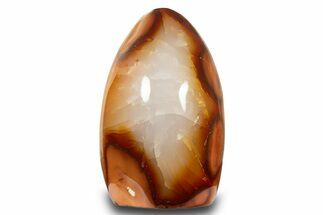 Free-Standing, Polished Carnelian Agate - Madagascar #317558