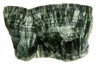 Polished Seraphinite Slab - Korshunovkiy Mine, Siberia #317740