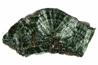 Polished Seraphinite Slab - Korshunovkiy Mine, Siberia #317747
