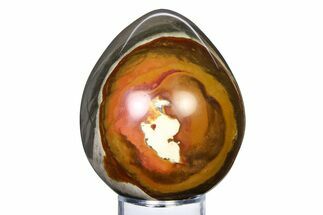 Polished Polychrome Jasper Egg - Madagascar #318141