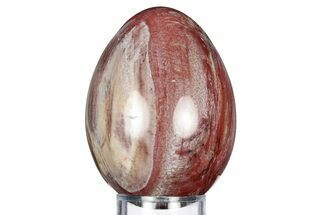 Colorful, Polished Petrified Wood Egg - Madagascar #318329