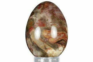 Colorful, Polished Petrified Wood Egg - Madagascar #318352