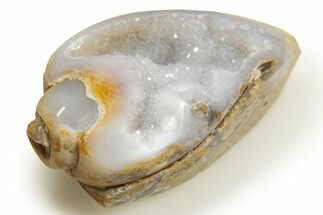 Chalcedony Replaced Gastropod With Sparkly Quartz - India #318711