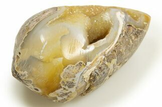 Chalcedony Replaced Gastropod With Sparkly Quartz - India #318716
