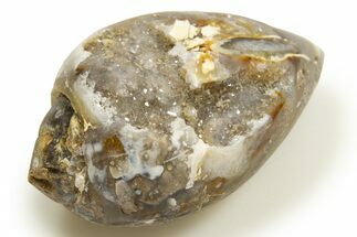 Chalcedony Replaced Gastropod With Sparkly Quartz - India #318719