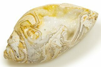 Chalcedony Replaced Gastropod With Sparkly Quartz - India #318724