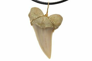 Fossil Mako Shark Tooth Necklace - Bakersfield, California #318840