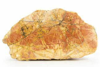 Polished Cherry Creek Jasper - China #318961