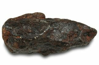 Canyon Diablo Iron Meteorite ( g) - Arizona #319570