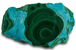 Vibrant Polished Malachite with Chrysocolla - DR Congo #319817