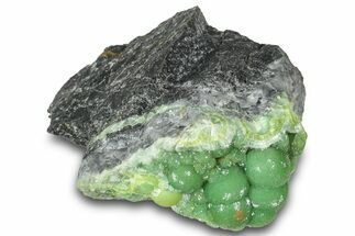 Sparkly Botryoidal Green Wavellite Formation - Arkansas #320544