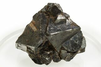 Lustrous Octahedral Magnetite Crystal Cluster - Utah #320461