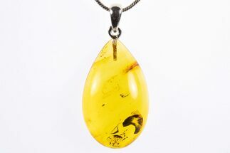 Polished Baltic Amber Pendant (Necklace) - Contains Fly & Mite! #322021