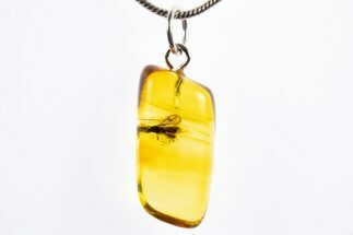 Polished Baltic Amber Pendant (Necklace) - Contains Fly! #322026