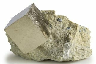 Natural Pyrite Cube In Rock - Navajun, Spain #322140