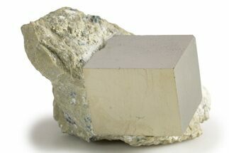 Natural Pyrite Cube In Rock - Navajun, Spain #322142