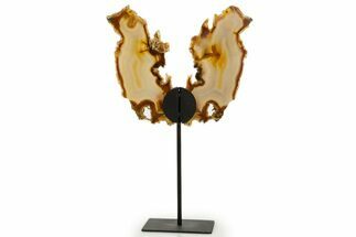 Agate Butterfly Wings - Brazil #322221