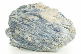 Vibrant Blue Kyanite Crystals and Staurolite In Quartz - Brazil #322560