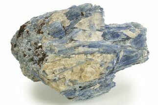 Vibrant Blue Kyanite Crystals and Staurolite In Quartz - Brazil #322562