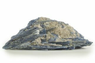 Vibrant Blue Kyanite Crystals In Quartz - Brazil #322570