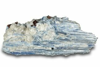 Vibrant Blue Kyanite Crystals and Staurolite In Quartz - Brazil #322581