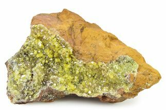 Lustrous Yellow Pyromorphite Crystal Cluster - DR Congo #322648