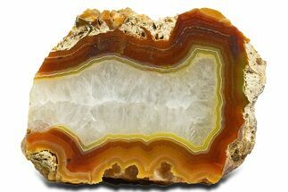 Polished Queensland Agate Nodule - Australia #323012