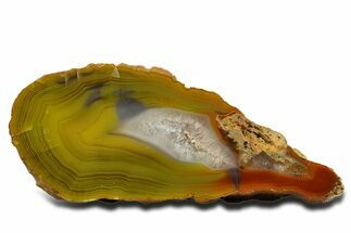 Polished Queensland Agate Nodule - Australia #323016